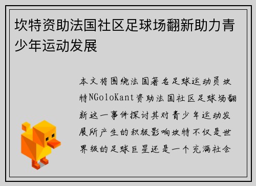 坎特资助法国社区足球场翻新助力青少年运动发展