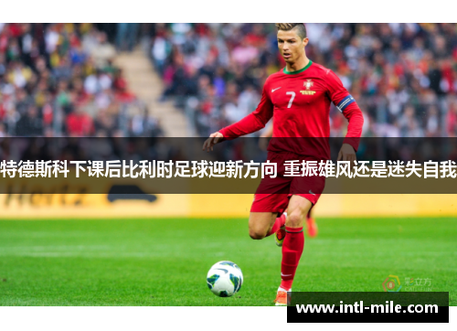 特德斯科下课后比利时足球迎新方向 重振雄风还是迷失自我