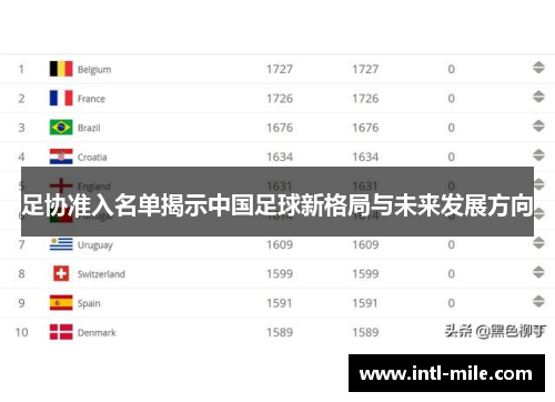 足协准入名单揭示中国足球新格局与未来发展方向