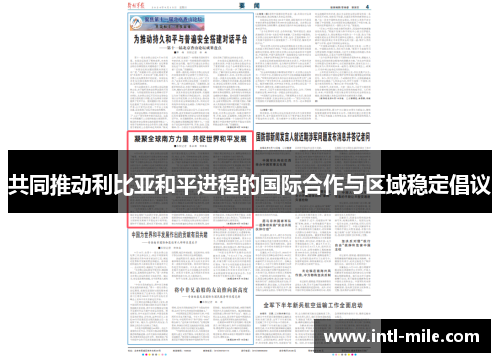 共同推动利比亚和平进程的国际合作与区域稳定倡议