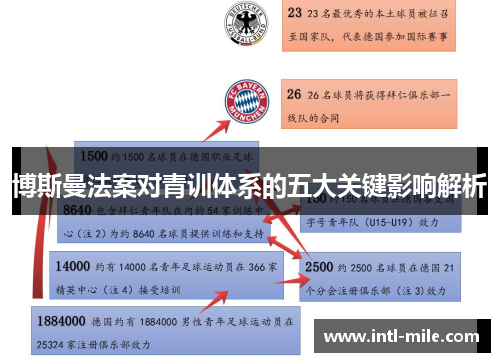 博斯曼法案对青训体系的五大关键影响解析